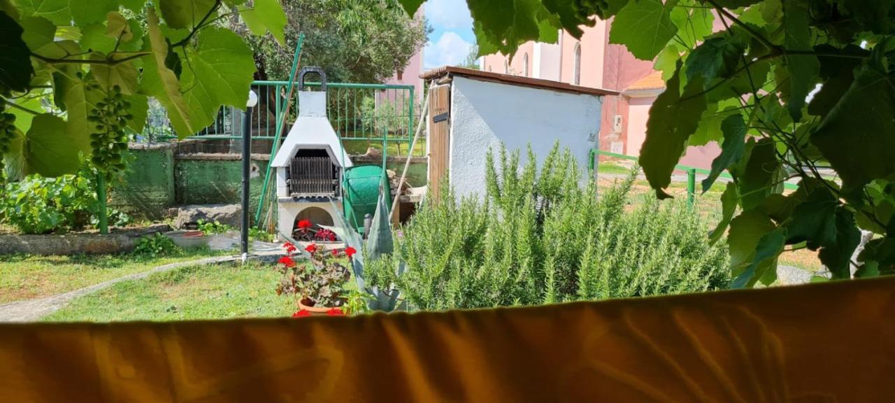 Apartmani Centar Seline Paklenica Bagian luar foto
